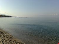 mare