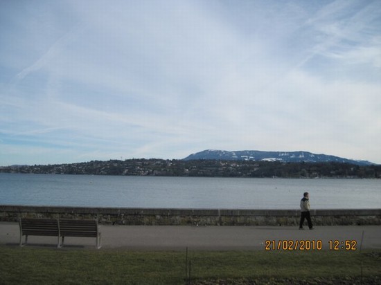 Jardin Anglais