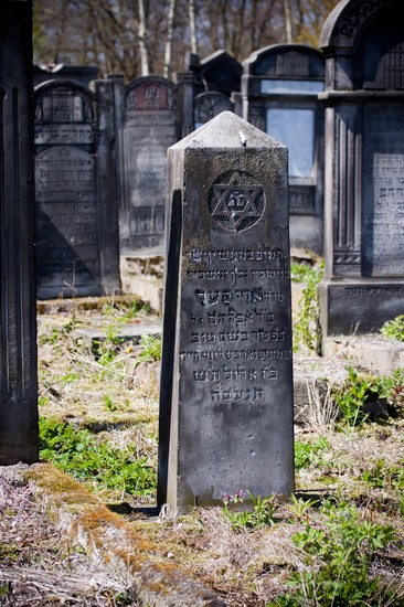 lodsch neuer juedischer friedhof in lodz