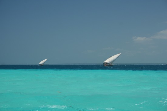 zanzibar