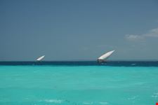 zanzibar