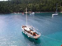 foki kefalonia