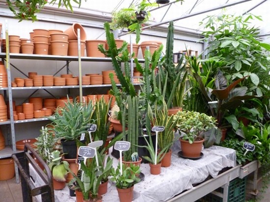 mercato dei fiori