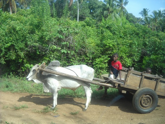 carretto