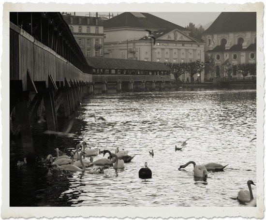 Lucerna Romantica