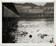 Lucerna Romantica