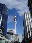 auckland sky tower