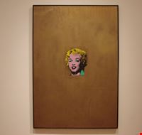 26826_new_york_andy_warhol_at_moma 26826_new_york_andy_warhol_at_moma