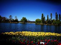 canberra floriade canberra