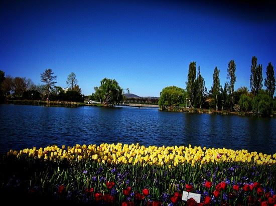  Canberra penreyes - Creative Commons penreyes