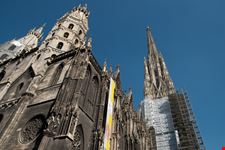 stephansdom in vienna