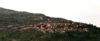 martirano lombardo