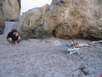 los angeles el matador beach