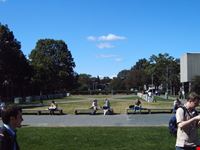 boston harvard grounds boston