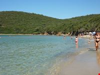 spiaggia di Cala Violina