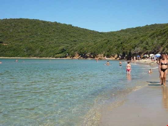 Follonica