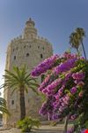 sevilla torre del oro