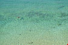 rhodes pefkos