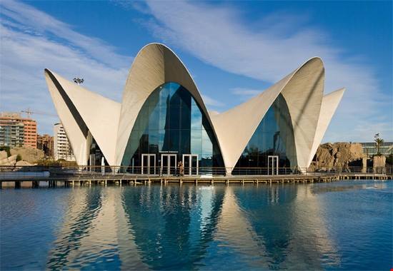 Cosa fare a Valencia: le 5 attrazioni da non perdere!