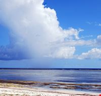 27845_zanzibar_zanzibar 27845_zanzibar_zanzibar