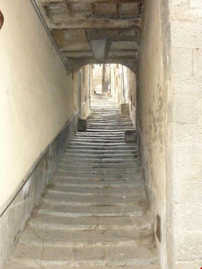  Cortona  