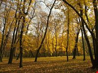 stromovka park