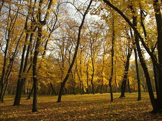 Parco Stromovka - vigour - vigour - CC BY 2.0