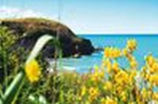 Riserva Naturale di Punta Aderci