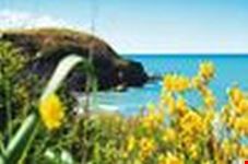 Riserva Naturale di Punta Aderci