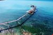 Riserva Naturale di Punta Aderci
