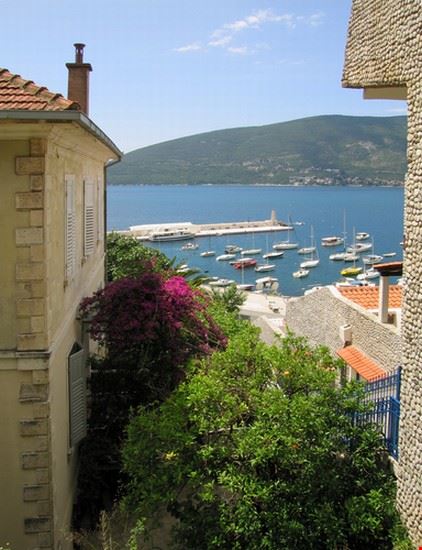  Herceg-Novi cumulus_humilis - Shutterstock cumulus_humilis