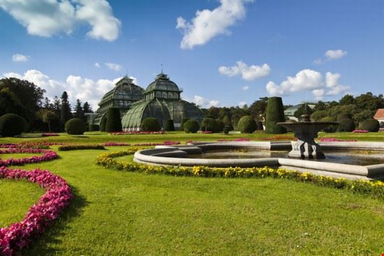 Serra delle palme di Schönbrunn - Ing. Schieder Markus - Ing. Schieder Markus - Shutterstock