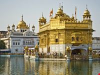 golden temple in amritsar amritsar