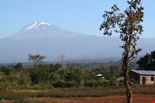 arusha mount kilimanjaro