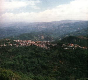 martirano