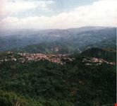 martirano