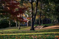 boston tufts university garden