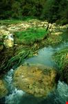 canale monterano