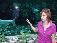 manila ocean park hundred islandsalaminospangasinan