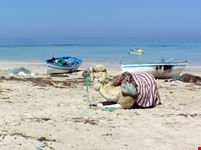 djerba djerba beaches