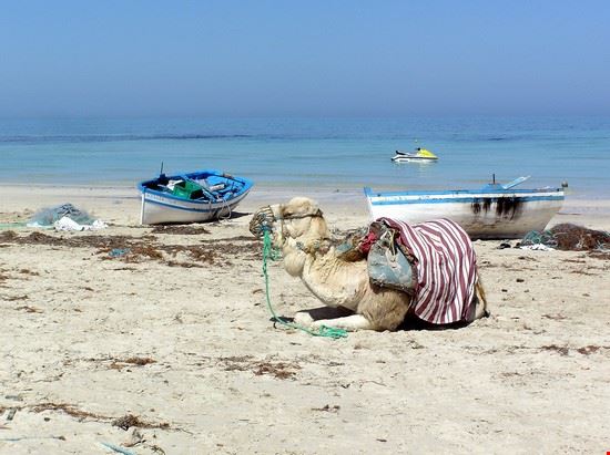  Djerba sky#walker - Creative Commons sky#walker
