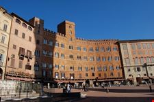 siena piazza del campo