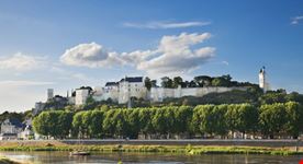 chinon