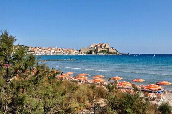 Calvi