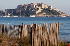 Calvi