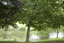 dublin phoenix park in dublin