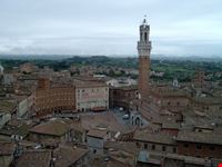 siena palazzo comunale