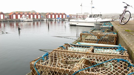 Docks