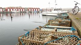Docks