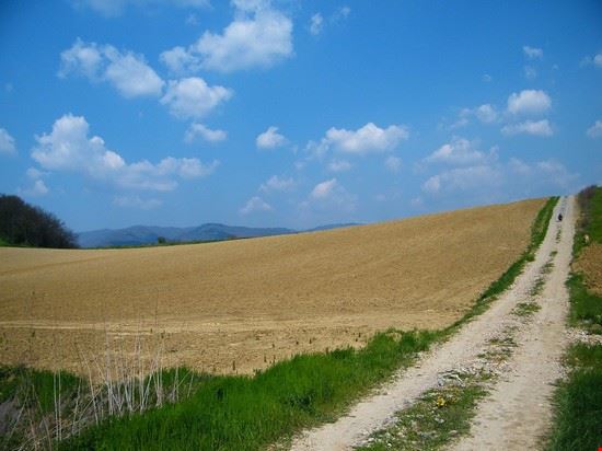 Valle del Mugello campagna fotografata nei pressi di Vicchio.  